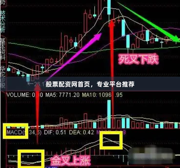 股票配资网首页，专业平台推荐